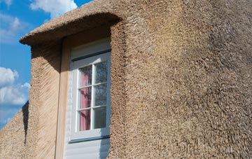Enterpen thatch roof disadvantages